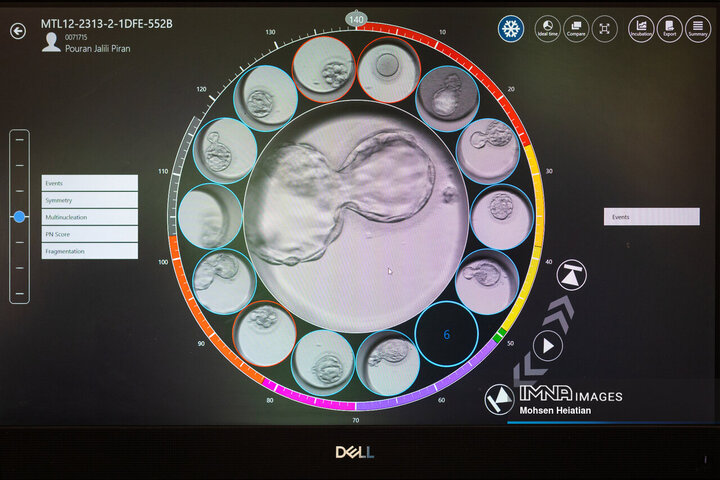 آغاز زندگی در آزمایشگاه