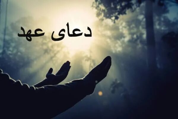 دعای عهد کامل با متن و ترجمه دقیق به همراه صوت + چله دعای عهد برای حاجت، زمان و شرایط