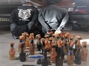 دستگیری ۱۴ نفر لیدرهای آشوب و کشف ۹ قبضه سلاح در اندیمشک