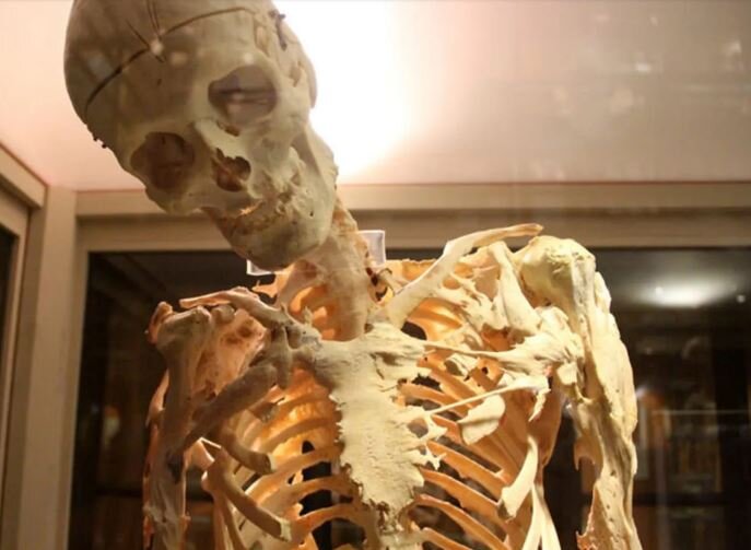 ترسناک‌ترین موزه‌های جهان کدامند؟ + عکس