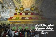 تصاویر زیبا از گل آرایی حرم امام حسین (ع)