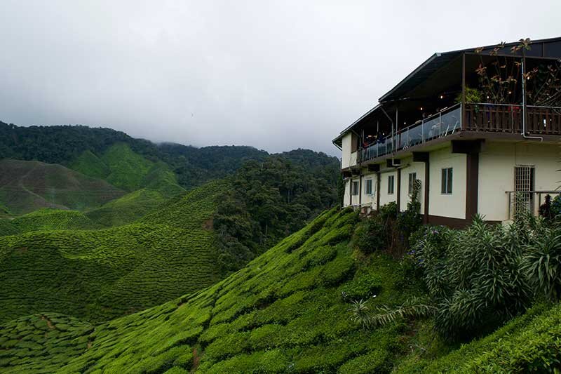 بهترین جاذبههای گردشگری مالزی؛ از تلهکابین لنکاوی تا جزیره سیپادان