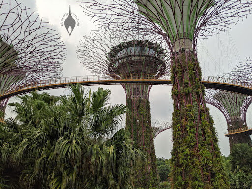 سنگاپور؛ پیشگام جهان در استفاده از درختان مصنوعی در خیابانها