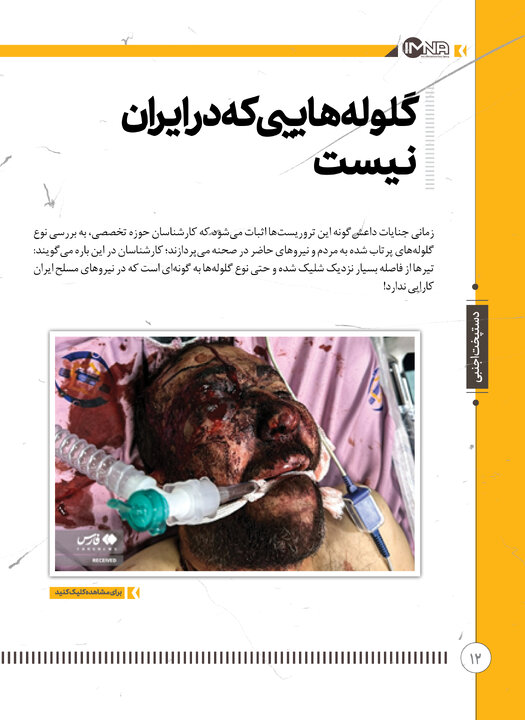 دستپخت اجنبی 12