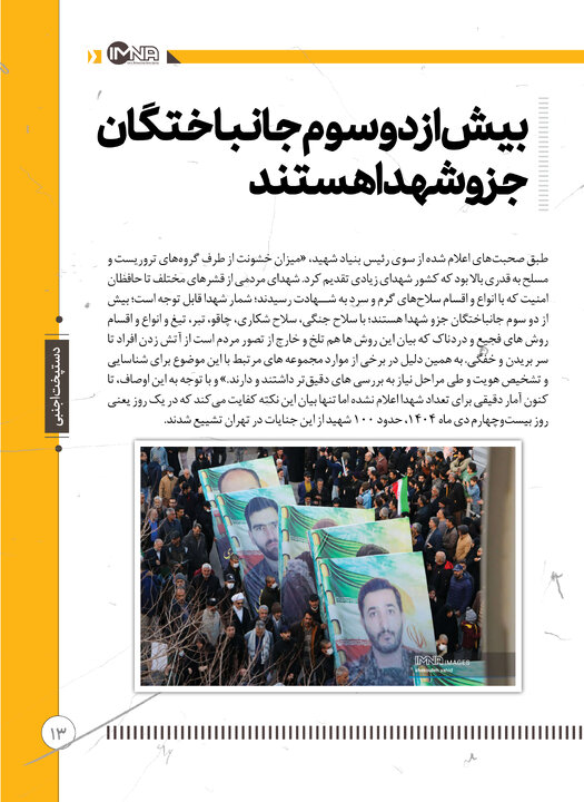 دستپخت اجنبی 13