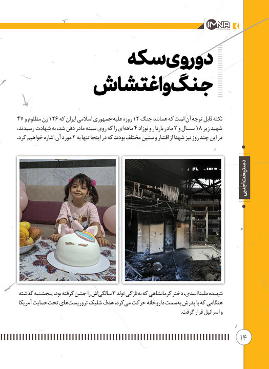 دستپخت اجنبی 14