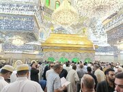 ۸۵درصد از صحن حضرت زینب (س) در کربلا آماده شد