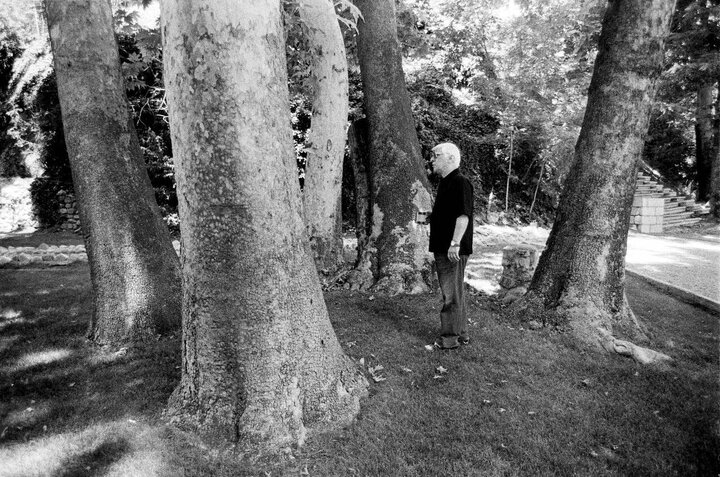 کاشت درخت «افرا» به یاد بهرام بیضایی در سالروز تأسیس تئاتر شهر