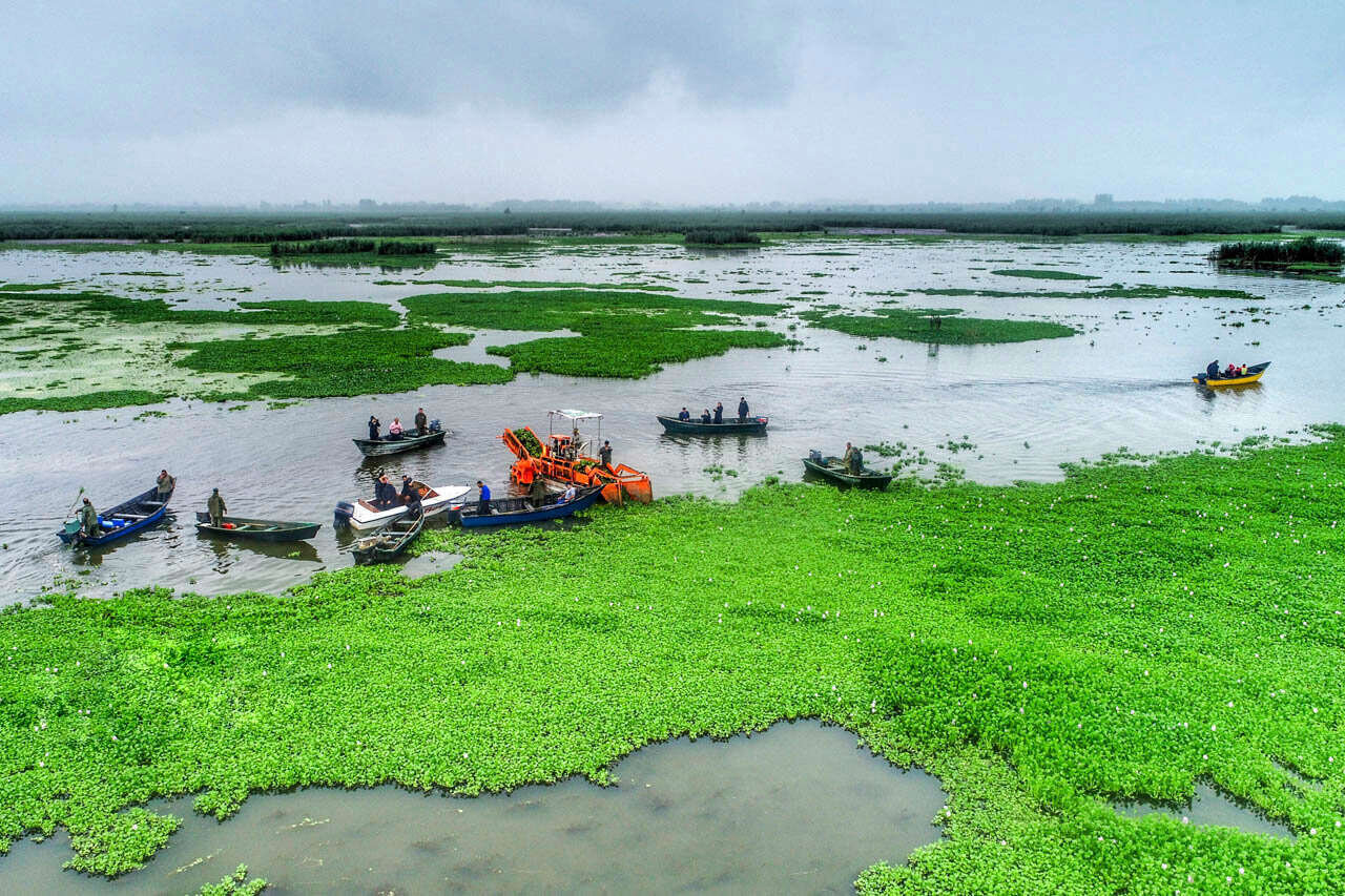از انزلی تا ارس؛ راهکارهایی برای احیای تالاب‌های ایران