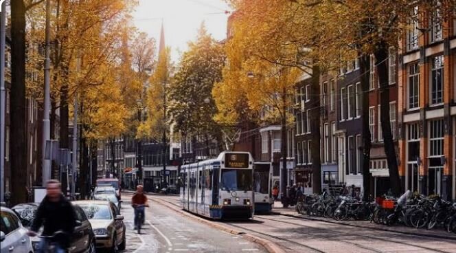 این شهرها سبزترین سیستم‌های حمل‌ونقل را دارند