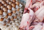 رقابتی شدن تولید مرغ با حذف ارز ترجیحی