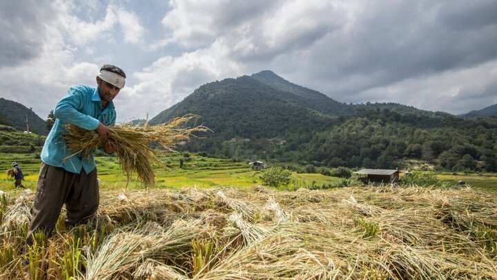 مستمری روستاییان تا خرداد ۱۴۰۵ متناسب می‌شود