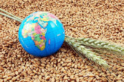 تاب‌آوری اقتصادی با تقویت ذخایر غذایی تقویت می‌شود
