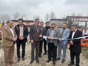 ثبت صادرات ۷۷ میلیون دلاری تعاونی‌های مازندران در دولت چهاردهم