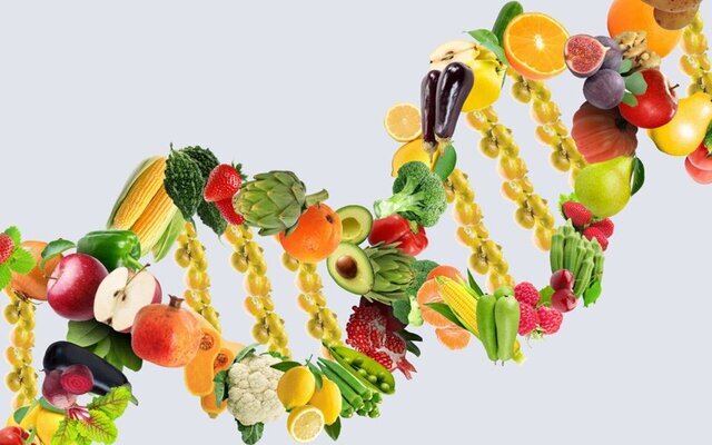 انتخابهای غذایی روزمره؛ عامل نادیدهگرفتهشده در مقابله با سرطان