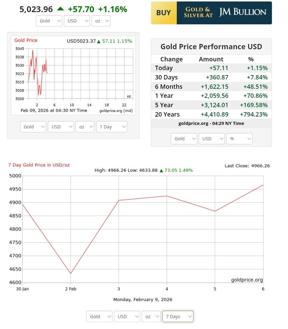 نمودار قیمت طلا ۲۰ بهمن ۱۴۰۴ + قیمت جهانی طلا