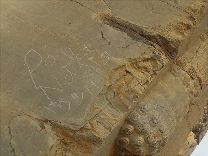 واکنش پایگاه میراث جهانی تخت جمشید به یادگاری‌نویسی دروازه ملل