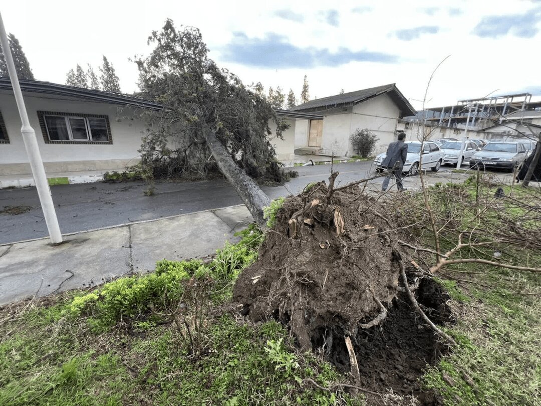 گلستان در محاصره تندباد و بارشهای سیلابی