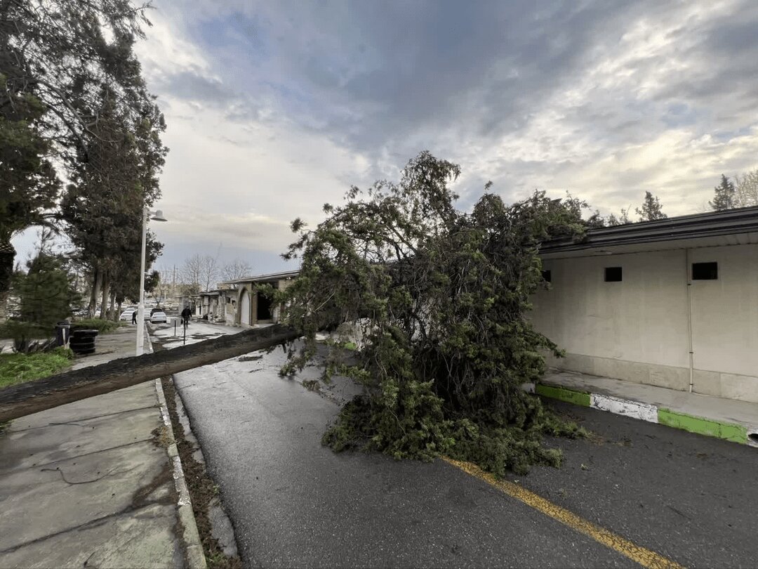 گلستان در محاصره تندباد و بارش‌های سیلابی