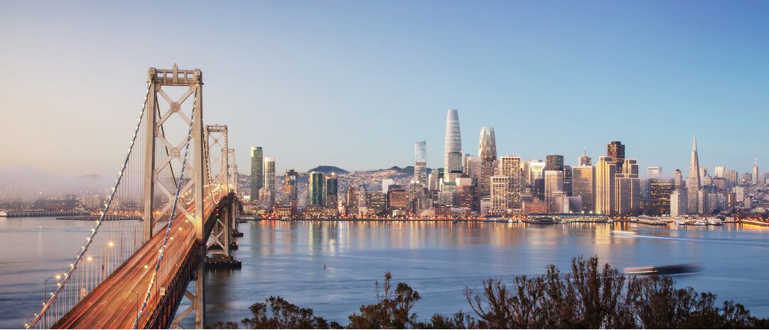 بازیابی طبیعت در شهرهای بتنی