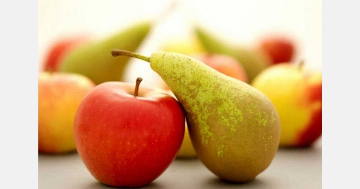 رازهای روزمره چین؛ از هونگ‌بائو تا آب جوش