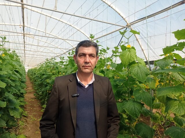 گلستان در مسیر بازگشت به جایگاه طلایی تولید/ بهرهوری بالا، پیشران توسعه پایدار در استان