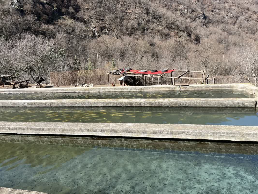 گلستان در مسیر بازگشت به جایگاه طلایی تولید/ بهره‌وری بالا، پیشران توسعه پایدار در استان
