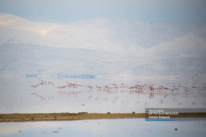 دریاچه مهارلو؛ آینه‌ای صورتی از آرامش در دل طبیعت فارس