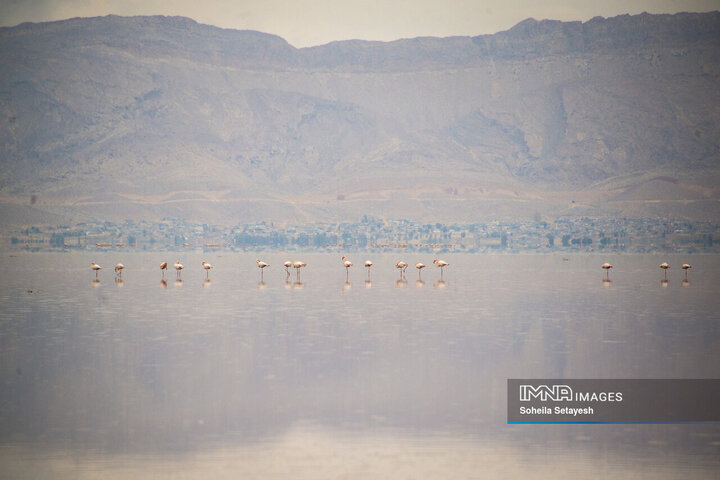 دریاچه مهارلو؛ آینه‌ای صورتی از آرامش در دل طبیعت فارس