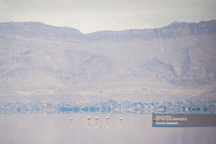 دریاچه مهارلو؛ آینه‌ای صورتی از آرامش در دل طبیعت فارس