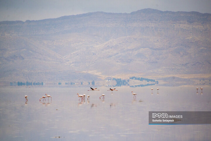 دریاچه مهارلو؛ آینه‌ای صورتی از آرامش در دل طبیعت فارس