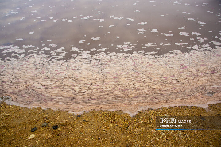 دریاچه مهارلو؛ آینه‌ای صورتی از آرامش در دل طبیعت فارس