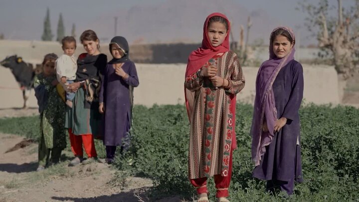 «خون، حنا، باروت»؛ روایتی از حقیقتی پنهان در هیلمند