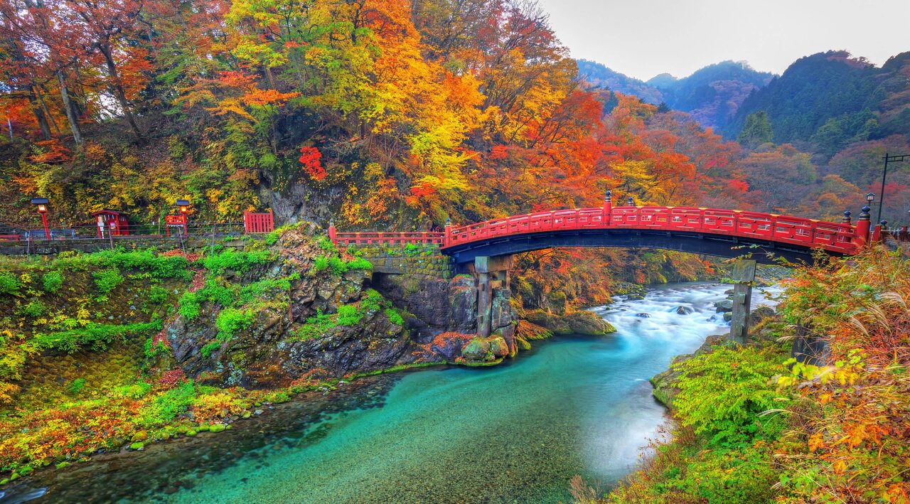 ژاپن دنیایی متفاوت از دنیای دیجیتال و مدرن