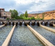 طلای صورتی در دل کوهستان/  ارزآوری میلیون‌دلاری از دل آب‌های سرد