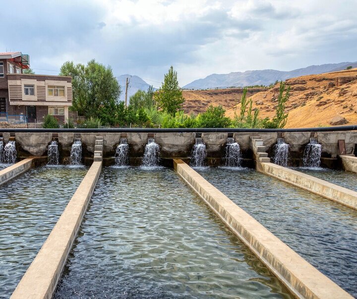 طلای صورتی در دل کوهستان/  ارزآوری میلیون‌دلاری از دل آب‌های سرد