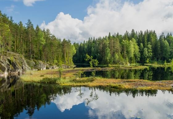 سبزترین کشورهای جهان در سال ۲۰۲۶ کدامند؟