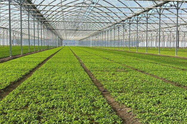 سبزترین کشورهای جهان در سال ۲۰۲۶ کدامند؟