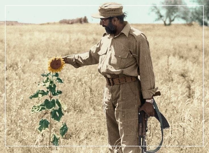 مصطفی چمران؛ معمار مقاومت شیعیان لبنان در نبرد با اسرائیل