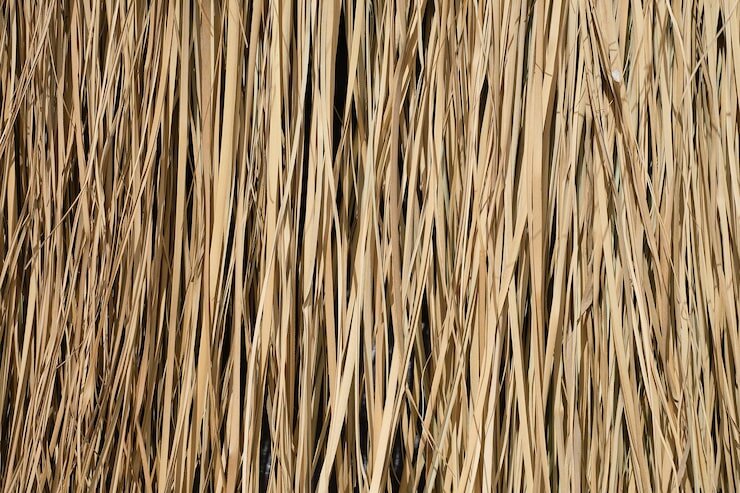 احیای سقف‌های کاهگلی و بازگشت فناوری کهن به معماری معاصر