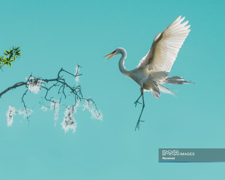 برندگان جایزه عکاسی طبیعت 2026