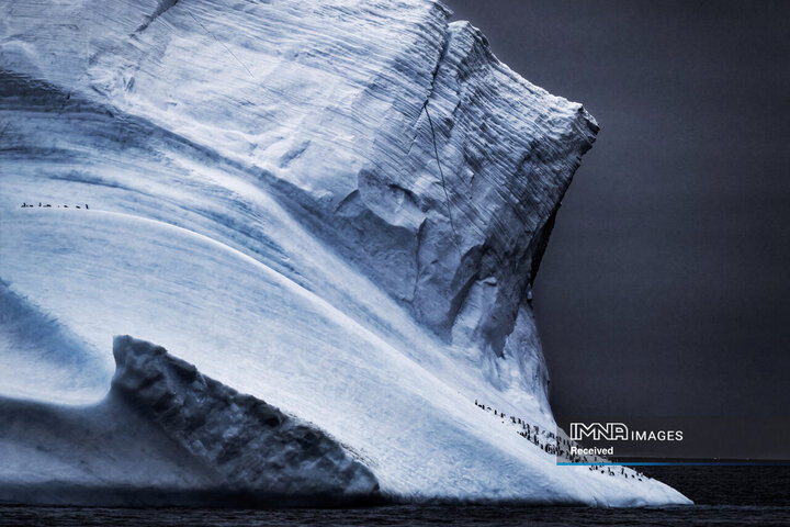 برندگان جایزه عکاسی طبیعت 2026