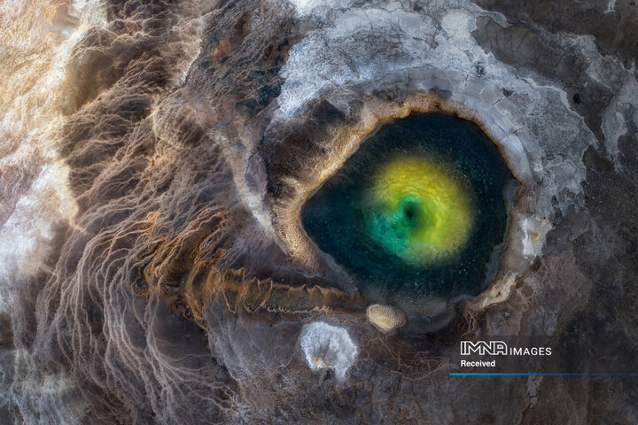 برندگان جایزه عکاسی طبیعت 2026