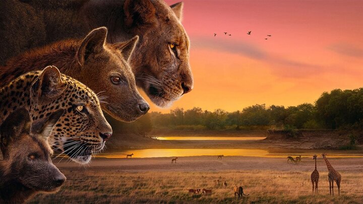 «قلمرو» در شبکه مستند