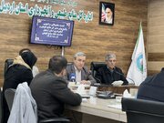 توزیع نامحدود نهال صنوبر در استان اردبیل
