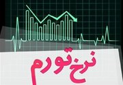 نرخ تورم در بهمن ۱۴۰۴ معادل ۴۶.۳ درصد شد