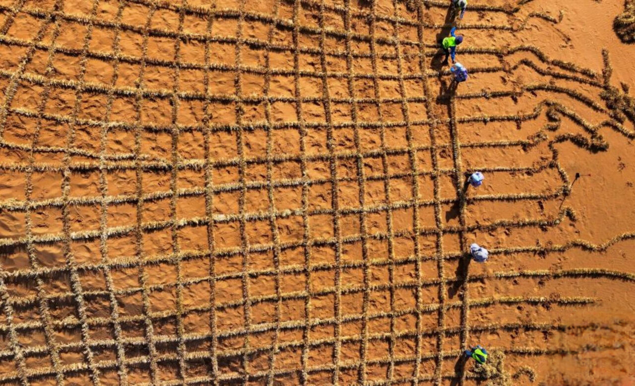 از شن روان تا خاک پایدار؛ راهکاری نو برای مقابله با بیابانزایی