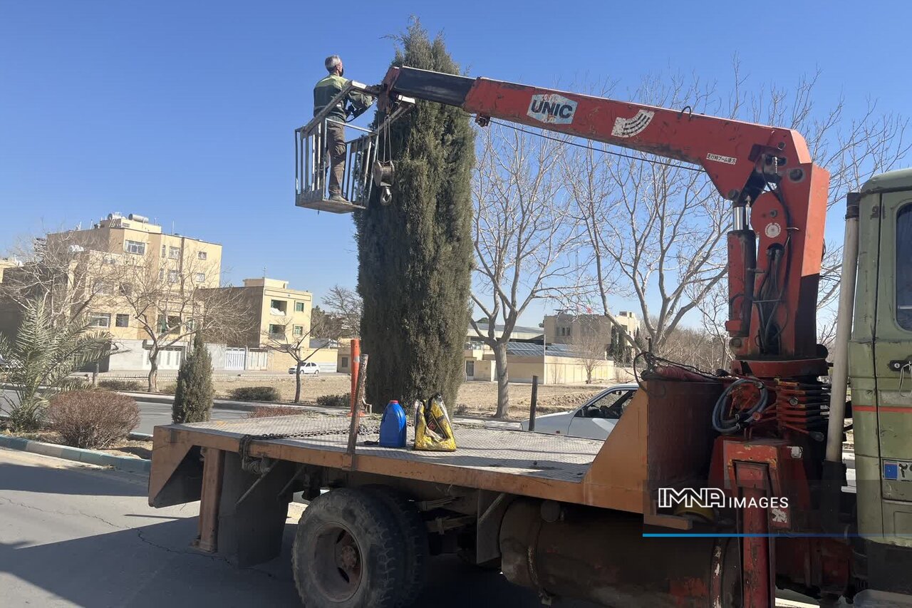 هرس ۵۰۰۰ اصله درخت و آغاز برنامه‌های بهاری فضای سبز در منطقه ۲ اصفهان