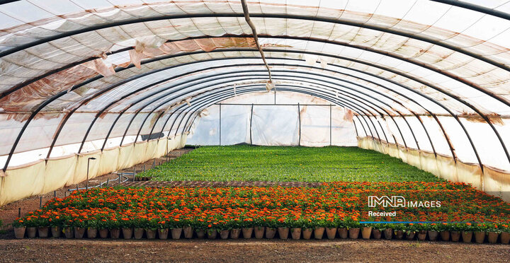 بازدید شهردار از گلخانه سازمان پارک‌ها و فضای سبز شهرداری