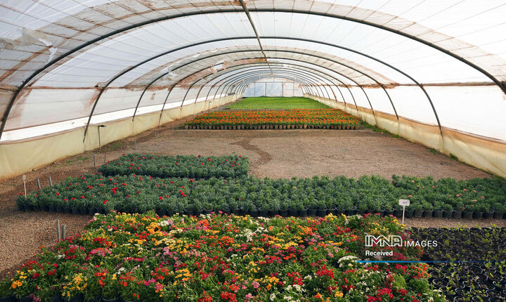 بازدید شهردار از گلخانه سازمان پارک‌ها و فضای سبز شهرداری